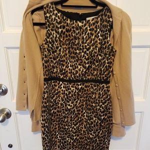 Cheetah print dress by Ann Taylor Loft